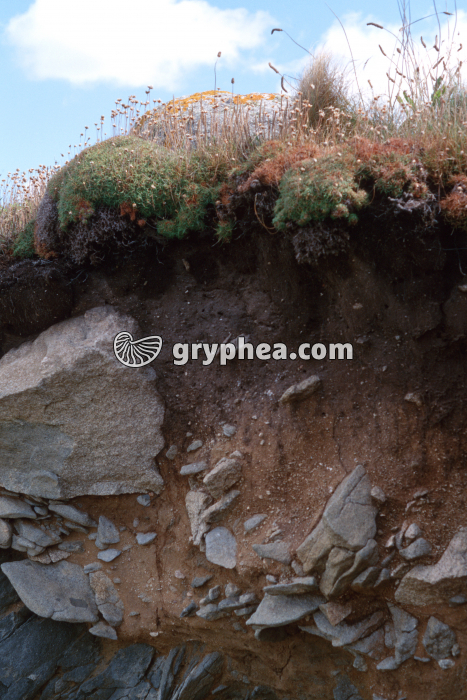 Sol sur granite - gryphea.org